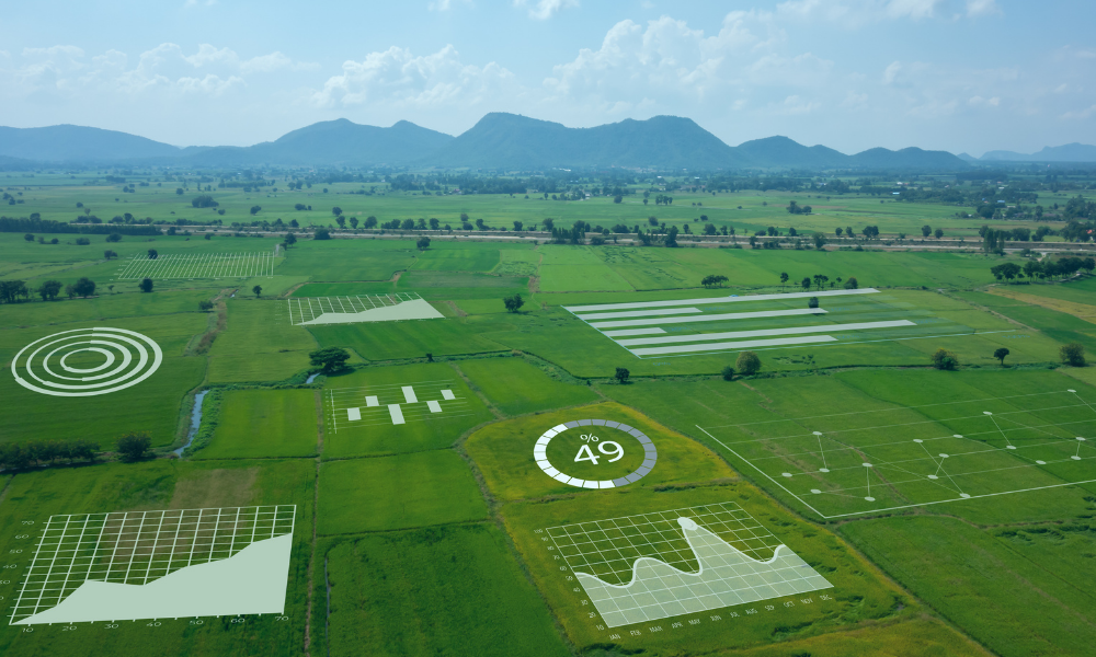 How big data enables greater opportunities for agribusiness