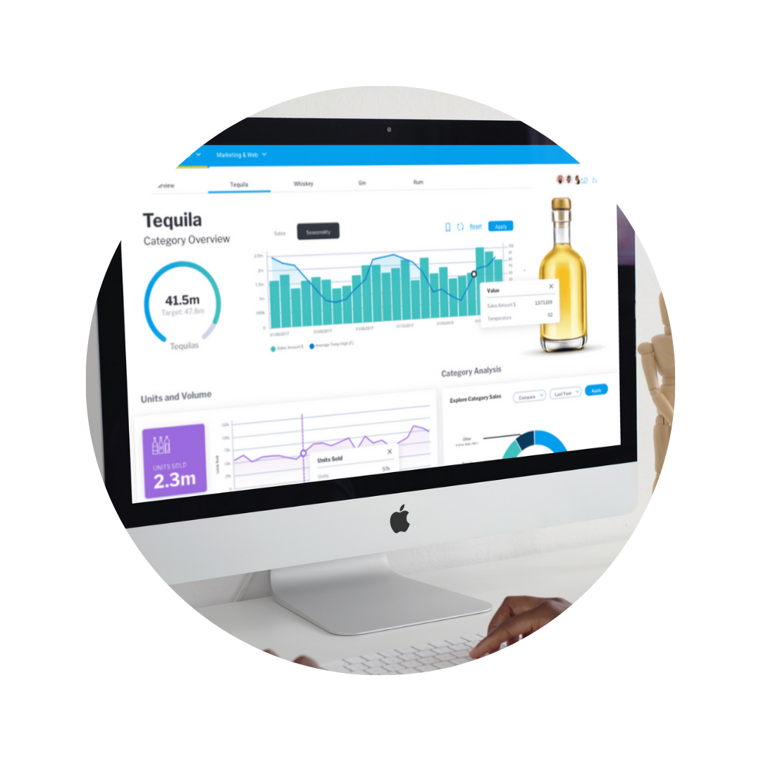 Data Visualisation Professional Services: Data Visualisation