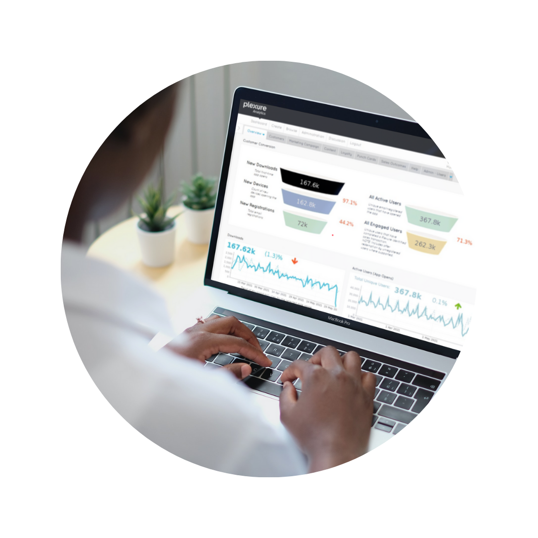 Embedded Analytics Professional Services: Embedded Analytics