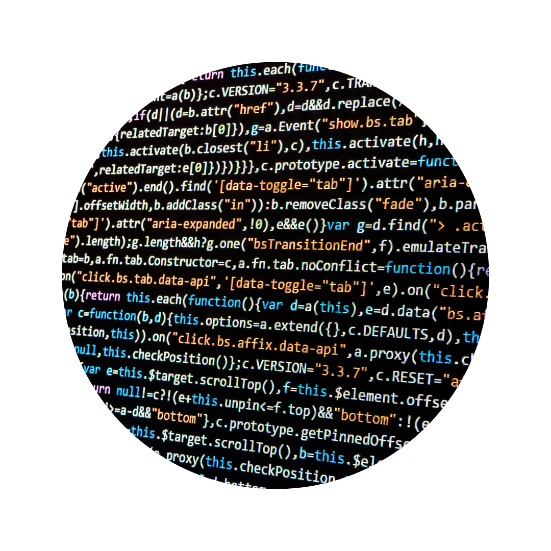 Data Integration Professional Services: Data Integration