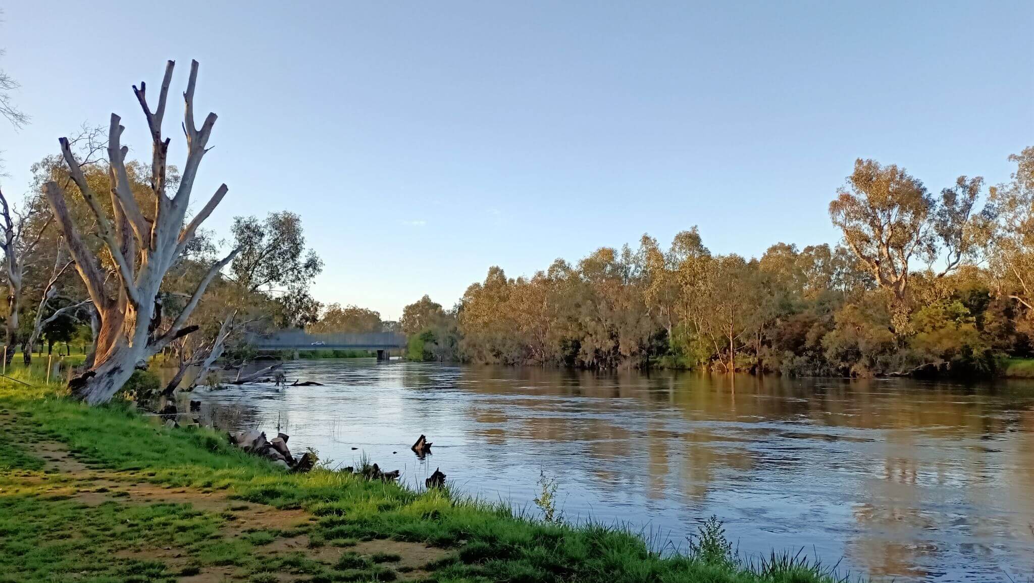 The Murray. A reflection of the importance of sustinability.